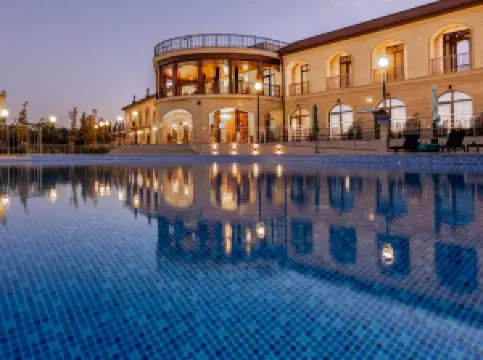 Panorama Kakheti Resort