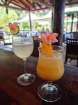 Hotel Oasis de Kiamu - bar