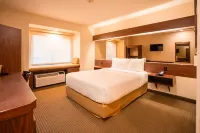 Microtel Inn & Suites by Wyndham Ciudad Juarez/US Consulate UACJ Campus IIT-IADA附近的飯店