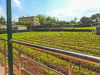 Evergreen Holidays Mahabaleshwar