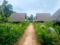 The Imagination Auroville