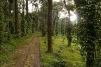 Tusker Trail Các khách sạn ở Suntikoppa