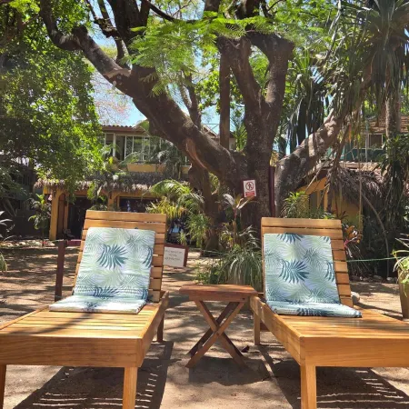 Hotel la Palapa