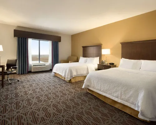 希爾頓歡朋酒店-西門羅 西門羅酒店