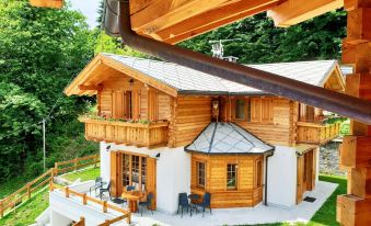 B&B Chalet Il Picchio