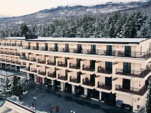 호텔 이넥스 고리카