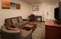 Staybridge Suites 丹佛技術中心 - 泳池