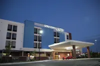 巴爾的摩白沼澤中河SpringHill Suites飯店 懷特馬什住宿飯店