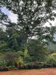 Mount Court Munnar - Pensions