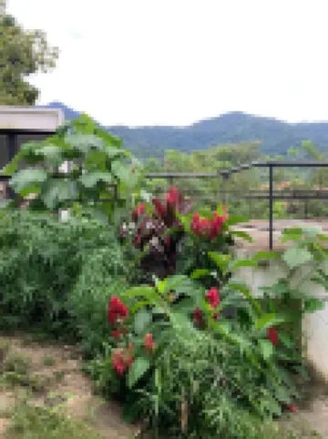 Minca Seasons Birds Отели в г. 