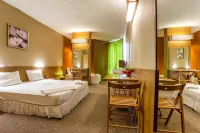 Art Hotel Simona