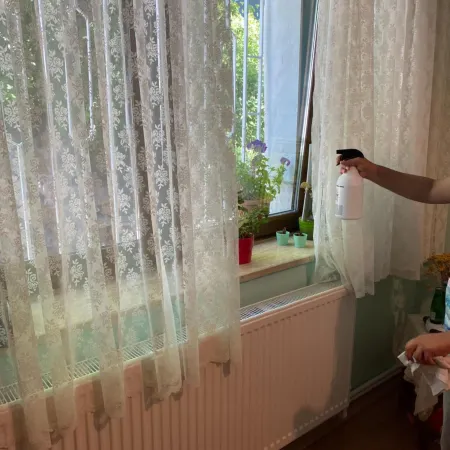 Mavi Ladin Konukevi