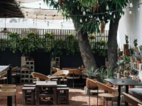 Drift San Jose del Cabo, a Member of Design Hotels 聖何塞德爾卡沃酒店