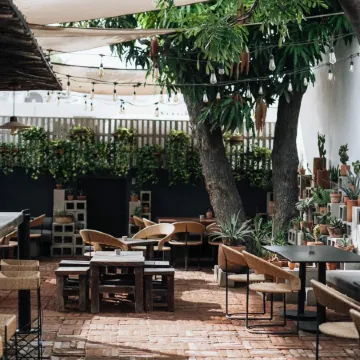 Drift San Jose del Cabo, a Member of Design Hotels
