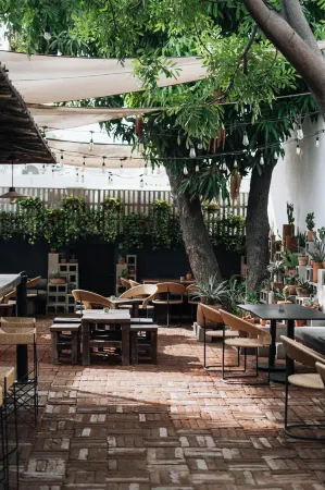 Drift San Jose del Cabo, a Member of Design Hotels