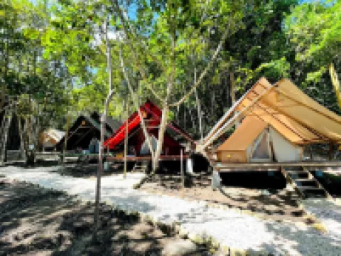 萊因卡洛戈斯豪華露營 酒店