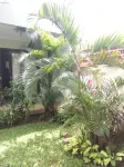 Villa 3BR at Kalicaa Villa Tipe Bora2 Tanjung Lesung - Villas