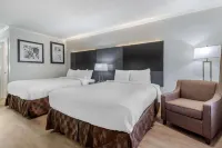 Suburban Studios at the University Hotels in Red Hill