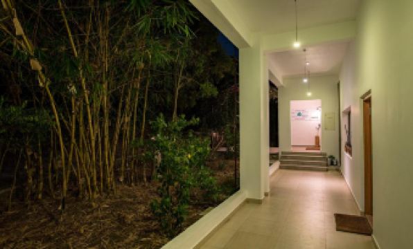 Dhole's Den Bandipur