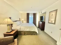 Staybridge Suites Detroit - Novi Hotels in Novi