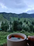 Hotel Burans & Restaurant - Mountain view