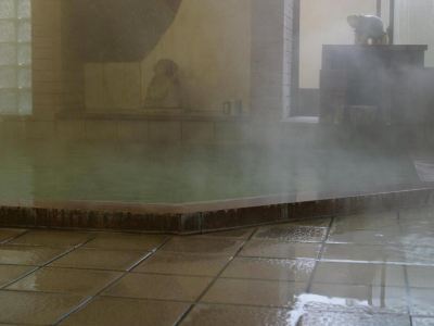 スパ・大浴場 亀清旅館の写真