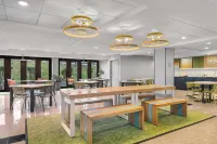 Spark by Hilton Winchester