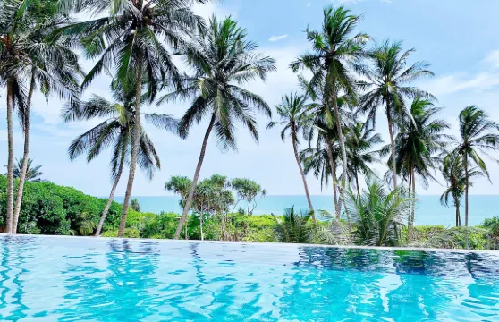 白金漢宮廣場酒店