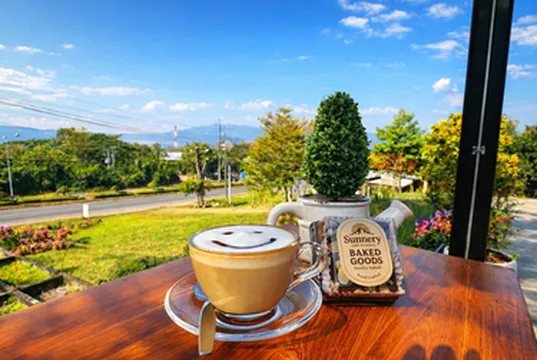 รูปภาพของเดอะ ซันเนอรี่ วิลล์