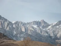Lone Pine Budget Inn - Wifi
