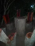 Hidden Jungle Village - Resorts