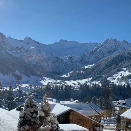 Chalet-Hotel Beau-Site