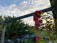 Galeria in the Garden - Pools