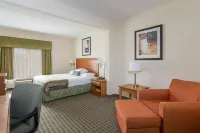 Wingate by Wyndham Atlanta/Fairburn فنادق في Fairburn