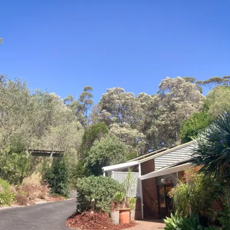 Edge of the Forest Motel