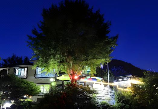 춘천강촌리버뷰펜션의 강변 풍경