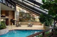 DoubleTree by Hilton Hotel Murfreesboro - piscina