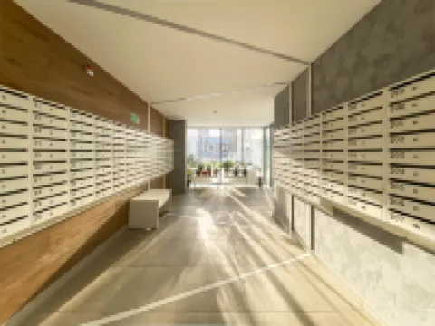 Cosmos on Revolution Street 52V