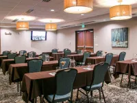 Holiday Inn & Suites DENVER TECH CENTER-CENTENNIAL by IHG - de negocios