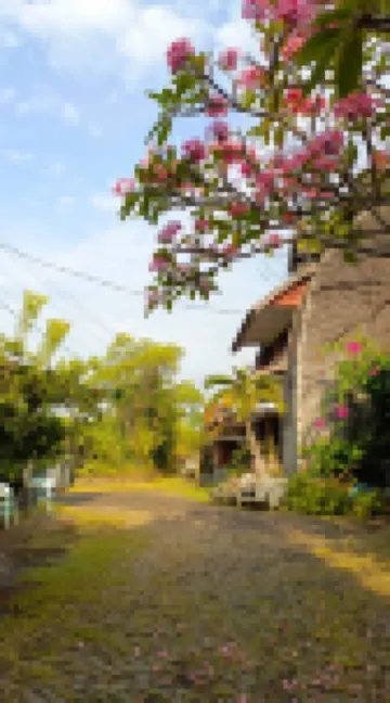 Chody House