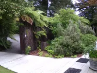 Creel Lodge Hotels in Turangi