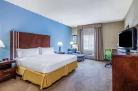 Holiday Inn Express & Suites Beaumont NW Parkdale Mall by IHG Hotels in Lumberton