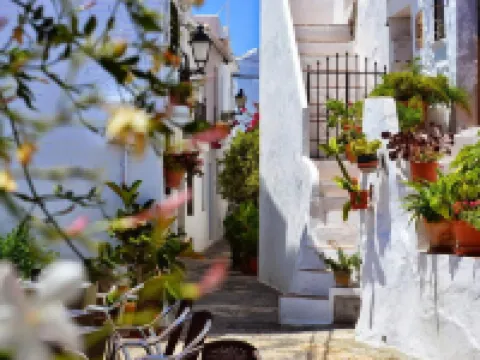 Casa Rural Miller's of Frigiliana Hotels in Frigiliana