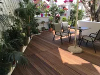 Casa Verde Hotels in 