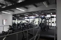 Global Backpackers Cairns - نادي رياضي