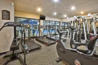 Holiday Inn Express & Suites BELLEVILLE (AIRPORT AREA) by IHG - spa