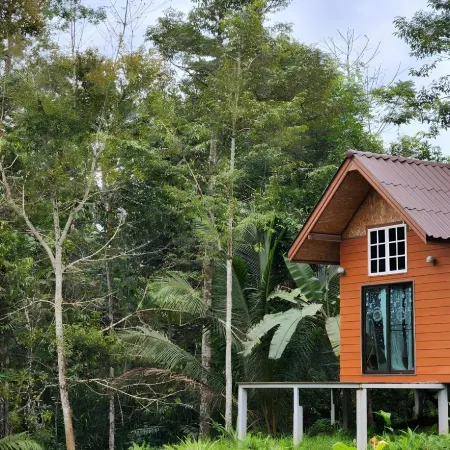 Rat Min House