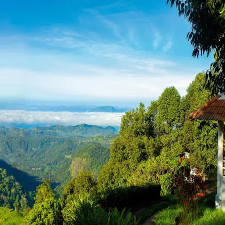 Blackberry Hills Munnar Nature Resort & Spa