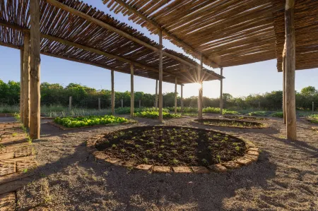 JW Marriott Masai Mara Lodge