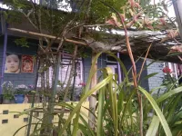 Vamoose Tragopan Hotels in der Nähe von helipad ground , padamchen